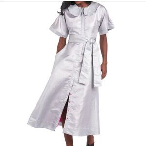 BURU Silver Button-Down Maxi Dress